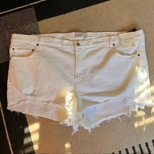 Plus Size Abercrombie and Fitch Denim Shorts